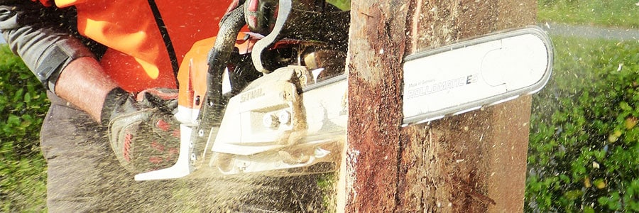 Lumberjack in orange vest chops down part of a tree using a chainsaw.