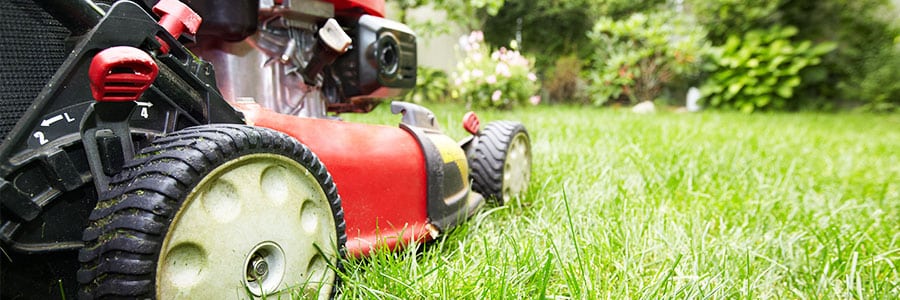 Lawnmower cuts through residential yard.