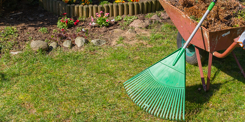 Preparing for Spring Beautiful backyard with rake, wheelbarrow, and garden beds.