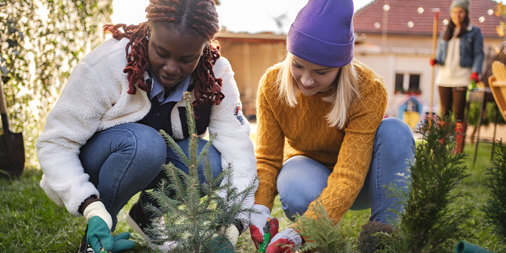 Two female homeowners in sweaters smile and plant tree in garden.